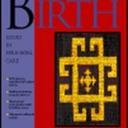 A book cover that shows a maze. Title shows Birth.