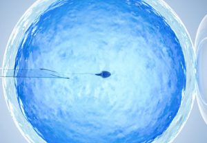 Undergoing IVF - Acupuncture Pregnancy Clinic Undergoing IVF