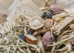 Variety of Traditional Herbal Chinese Medicine
