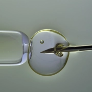 A closeup image of an IVF process