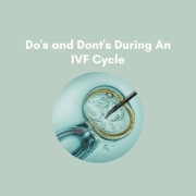 IVF Cycle