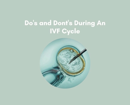 IVF Cycle