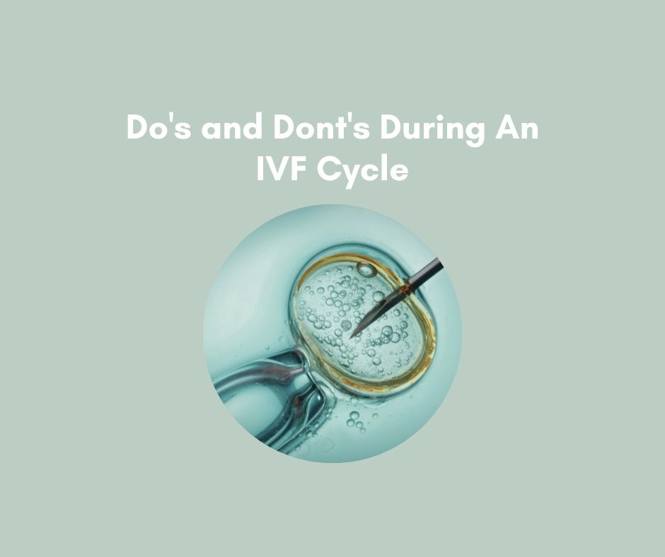 IVF Cycle