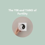 YinYang