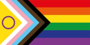 Unity pride flag - Acupuncture Pregnancy Clinic Unity pride flag
