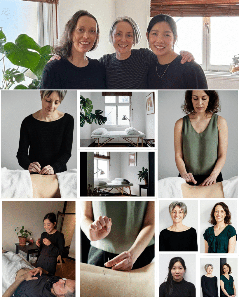 Melbourne Acupuncture Pregnancy Clinic Team and What We do